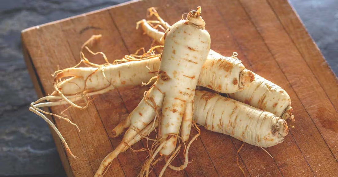Ginseng Root Extract&nbsp;